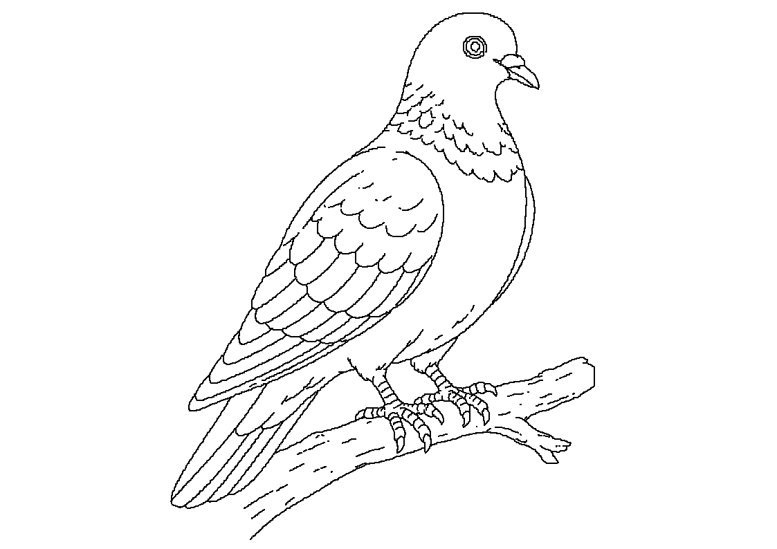 Golob