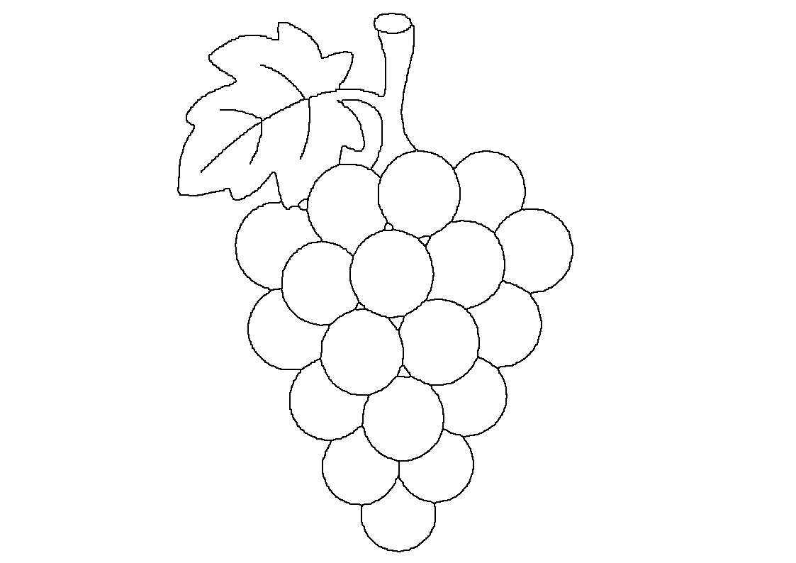 Grozd