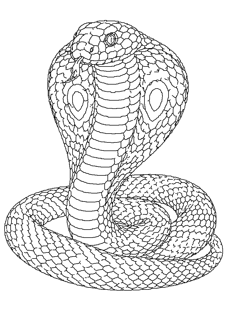 Kobra