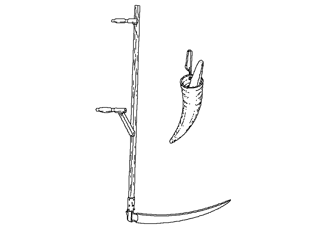 Kosa