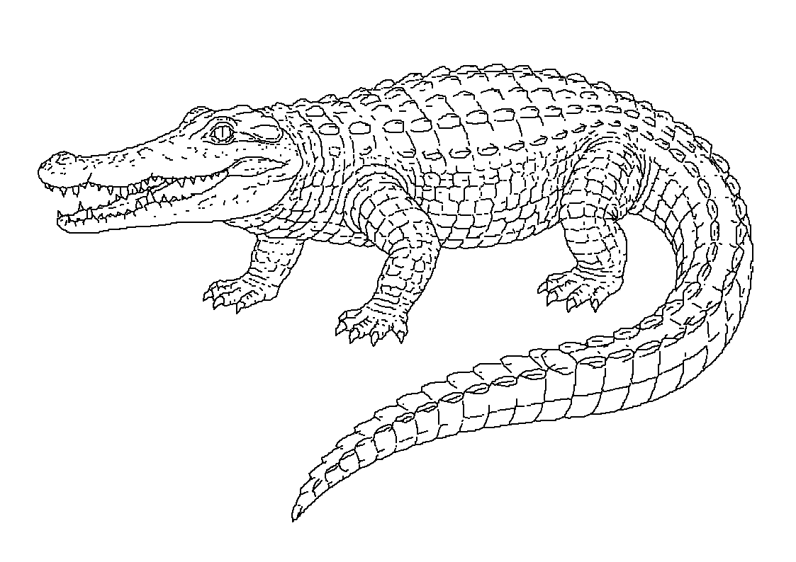 Krokodil