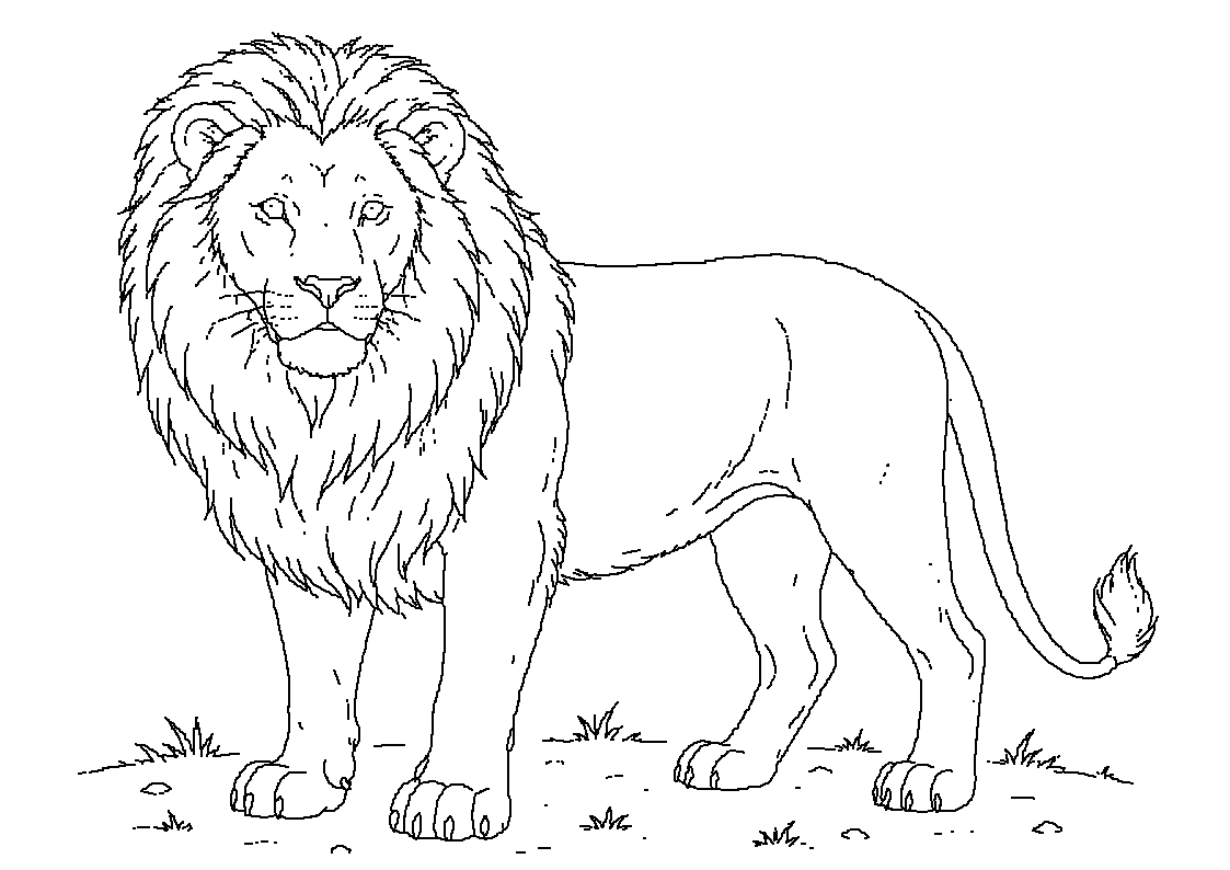 Lev
