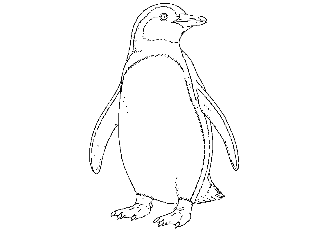 Pingvin